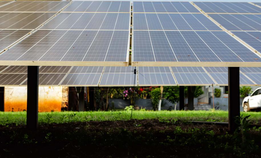 Foto: Roberto Dziura Jr/AEN