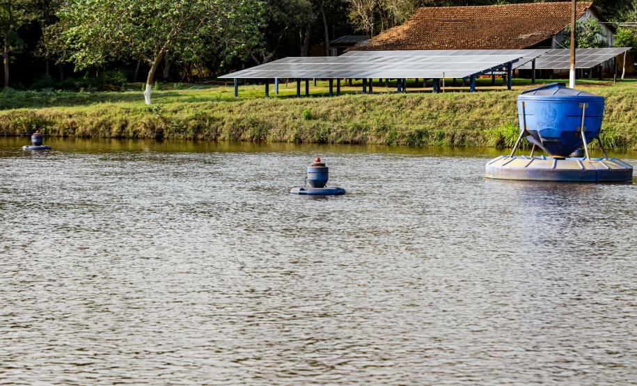 Foto: Roberto Dziura Jr/AEN