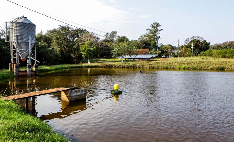 Foto: Roberto Dziura Jr/AEN