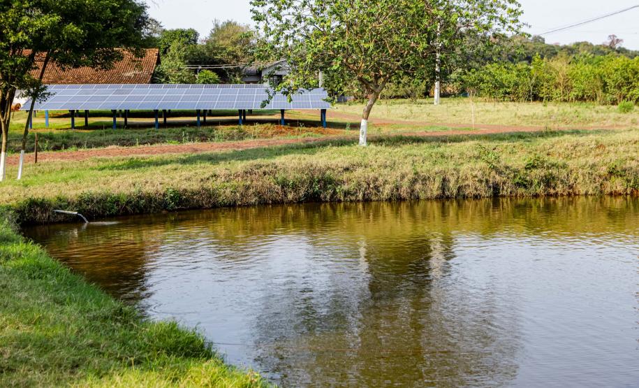 Foto: Roberto Dziura Jr/AEN