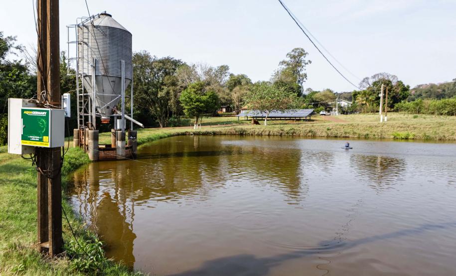 Foto: Roberto Dziura Jr/AEN