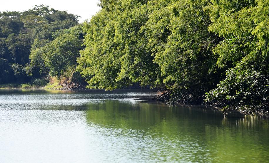 Estado estabelece novas diretrizes e critérios para o enfrentamento da estiagem