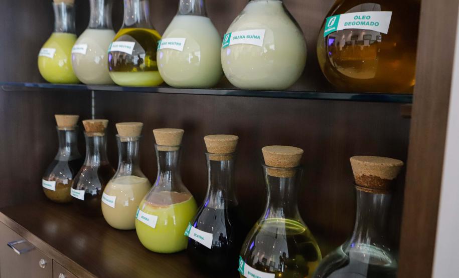 Nova unidade da Potencial na Lapa está recebendo investimento de R$ 1,7 bilhão e vai projetar o grupo para ser um dos líderes mundiais no esmagamento de soja.