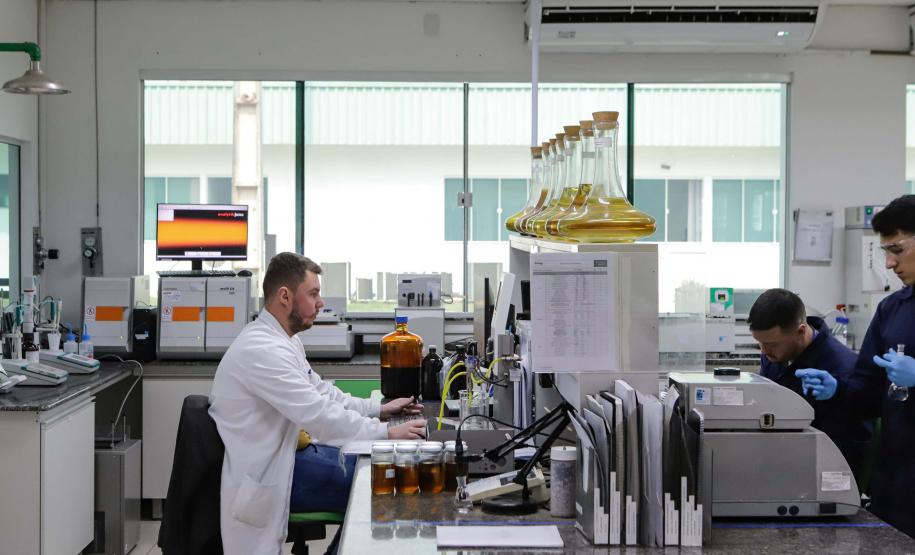 Nova unidade da Potencial na Lapa está recebendo investimento de R$ 1,7 bilhão e vai projetar o grupo para ser um dos líderes mundiais no esmagamento de soja.