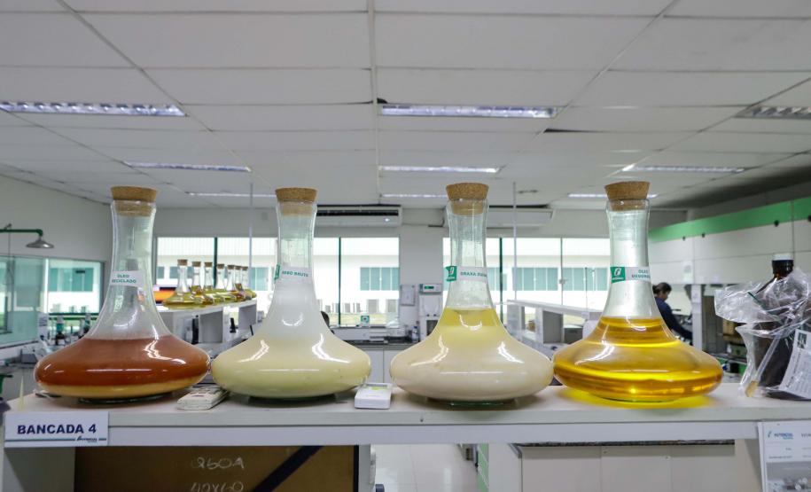 Nova unidade da Potencial na Lapa está recebendo investimento de R$ 1,7 bilhão e vai projetar o grupo para ser um dos líderes mundiais no esmagamento de soja.