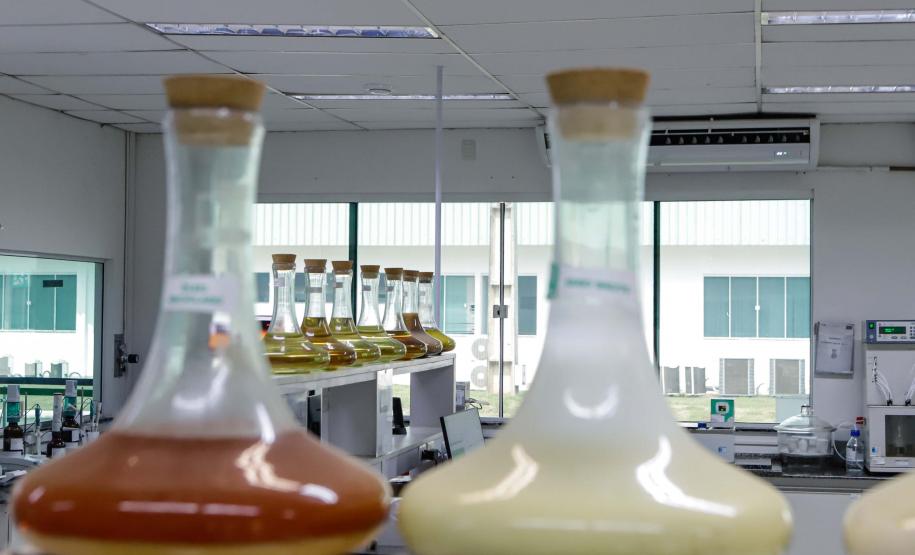 Nova unidade da Potencial na Lapa está recebendo investimento de R$ 1,7 bilhão e vai projetar o grupo para ser um dos líderes mundiais no esmagamento de soja.