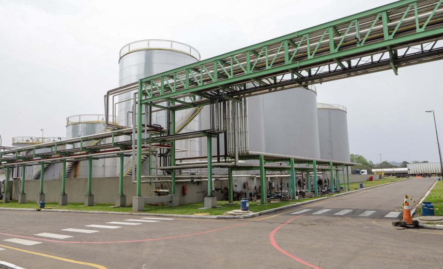 Nova unidade da Potencial na Lapa está recebendo investimento de R$ 1,7 bilhão e vai projetar o grupo para ser um dos líderes mundiais no esmagamento de soja.