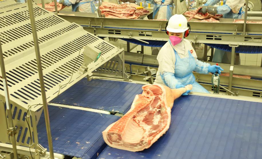 Produção paranaense de frangos, suínos, ovos e leite cresce acima da média nacional