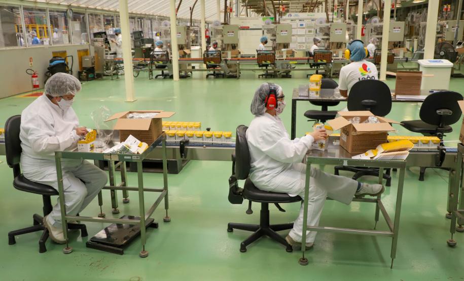 Agências do Trabalhador têm 21,2 mil vagas abertas; Curitiba e Cascavel lideram as ofertas