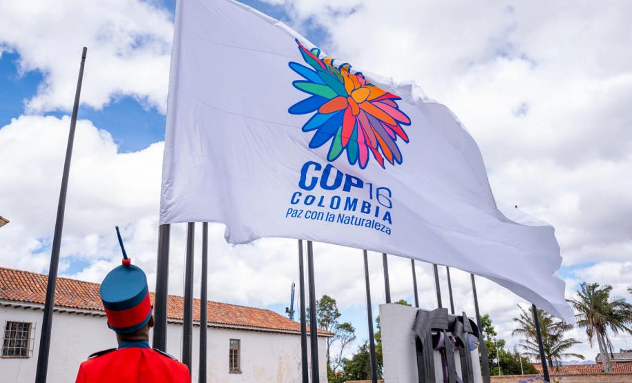 Com programas de preservação da biodiversidade, Governo do Paraná será protagonista na COP16, em Cali, na Colômbia