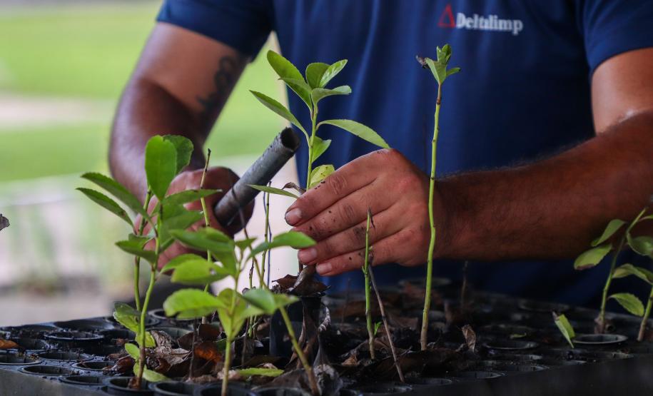 Com programas de preservação da biodiversidade, Governo do Paraná será protagonista na COP16, em Cali, na Colômbia