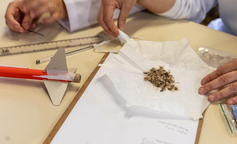 Colégio estadual em Curitiba é exemplo da educação científica que transcende a sala de aula