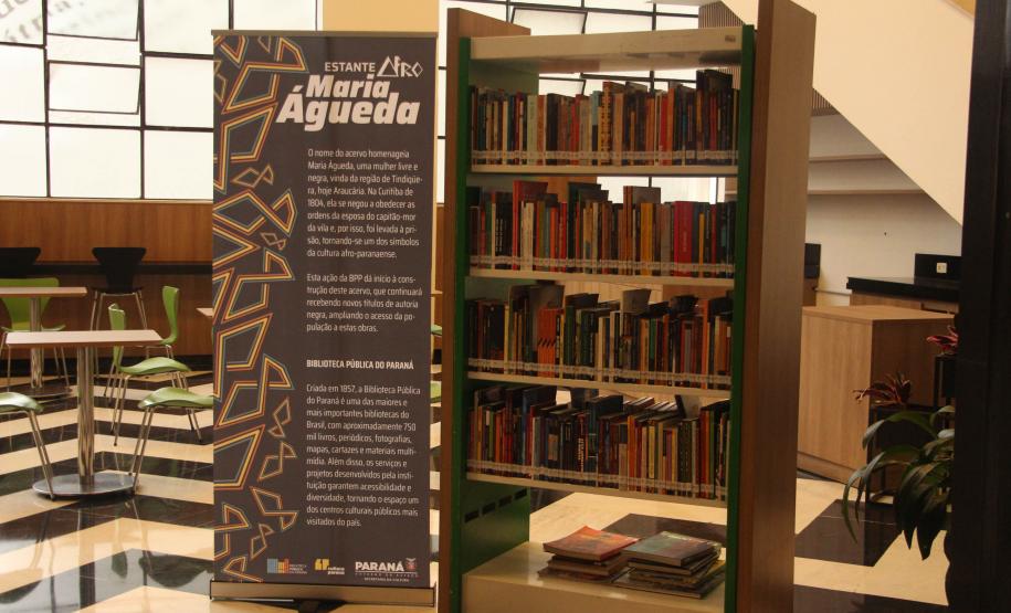 Nando Reis, sertanejos, peças teatrais e novas exposições no MON: confira a agenda cultural