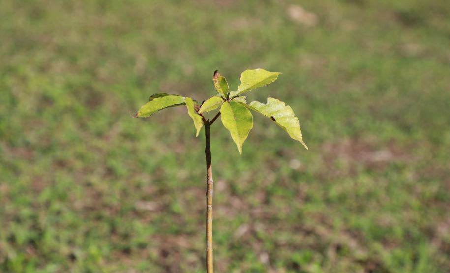 Estado já aplicou R$ 1,7 bilhão em obras e melhorias nos municípios do Paraná em 2024