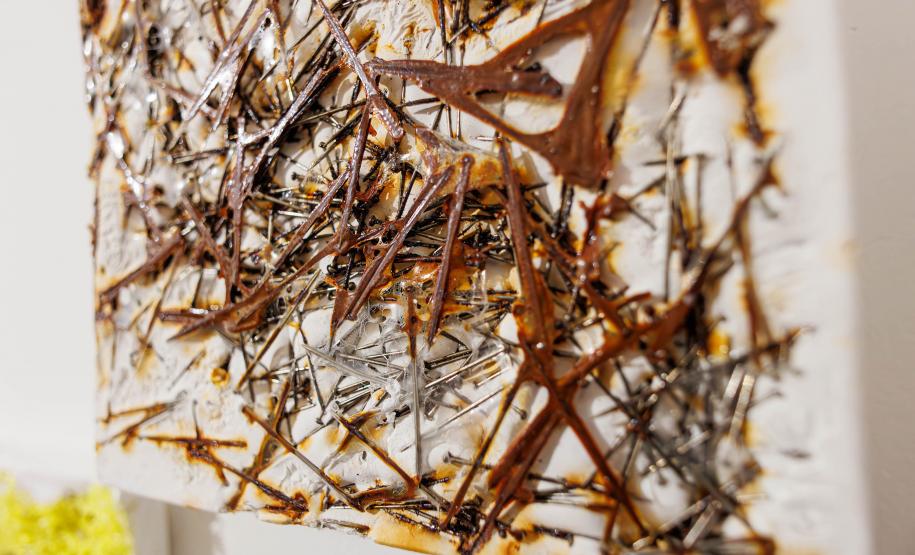 Biblioteca Pública do Paraná (BPP) - Novembro Negro