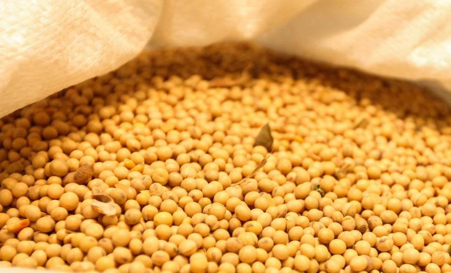 Com 5º melhor resultado de exportações em 2024, Paraná tem superávit de US$ 3,7 bilhões