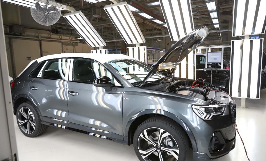 Na foto, Premier Pet