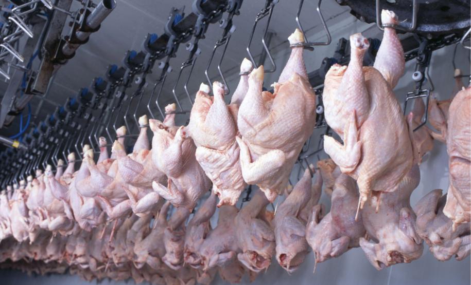 Com 5º melhor resultado de exportações em 2024, Paraná tem superávit de US$ 3,7 bilhões