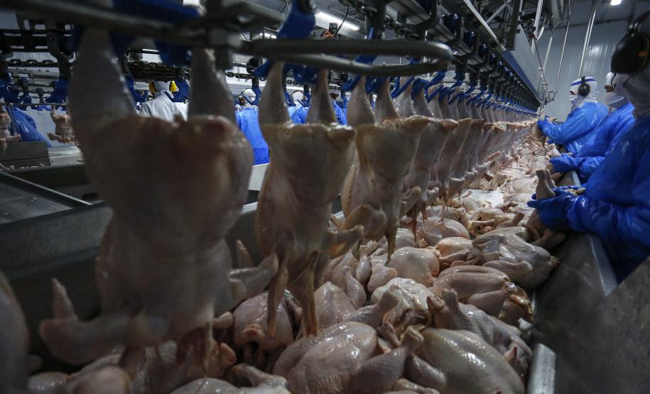 Com 5º melhor resultado de exportações em 2024, Paraná tem superávit de US$ 3,7 bilhões