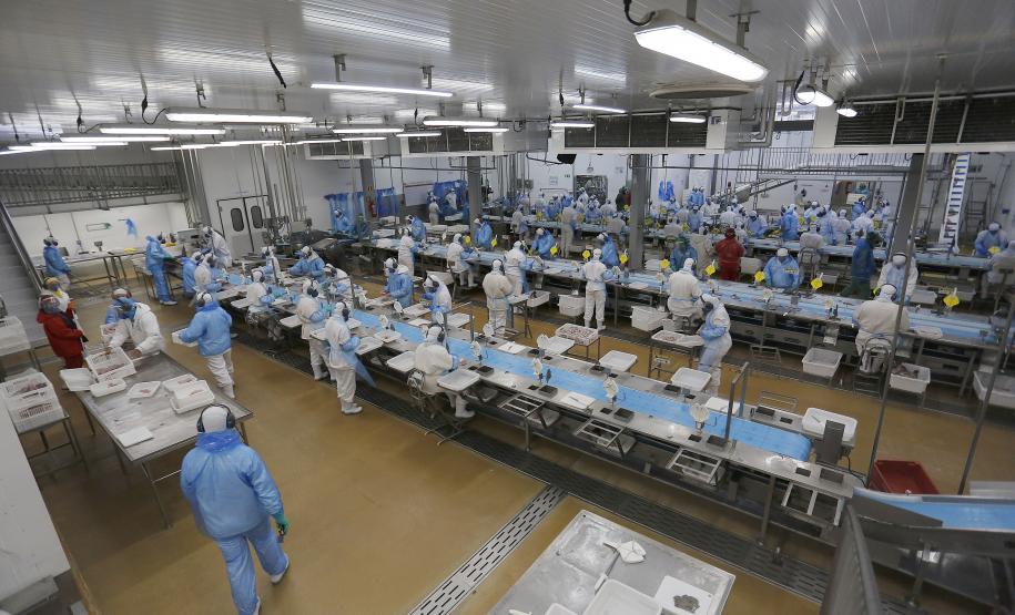 Com destaque para indústria, Agências do Trabalhador têm 17,3 mil vagas de emprego