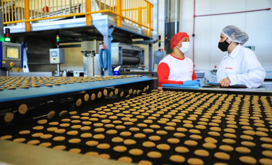 31 mil vagas: indústria do Paraná é segunda que mais gerou empregos em 2024