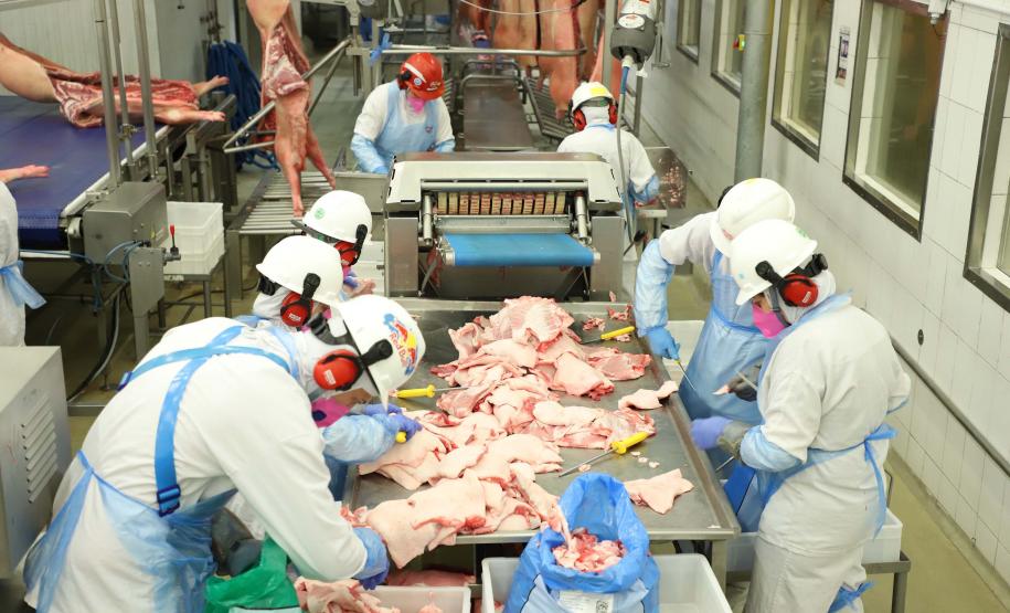 31 mil vagas: indústria do Paraná é segunda que mais gerou empregos em 2024