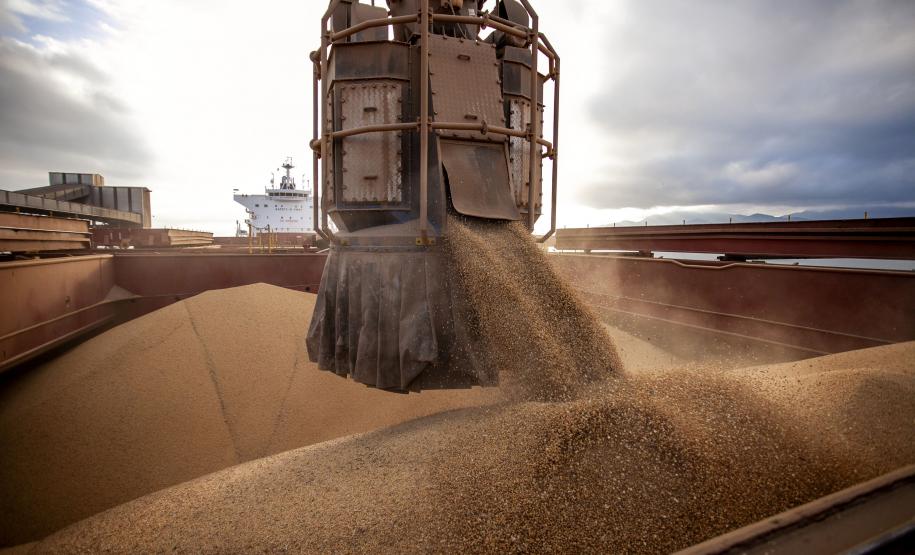 Com 5º melhor resultado de exportações em 2024, Paraná tem superávit de US$ 3,7 bilhões