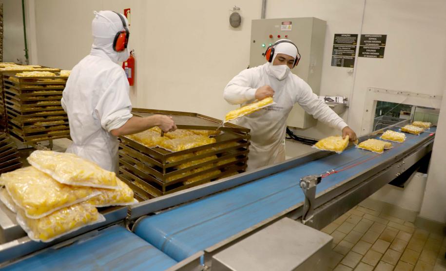 31 mil vagas: indústria do Paraná é segunda que mais gerou empregos em 2024