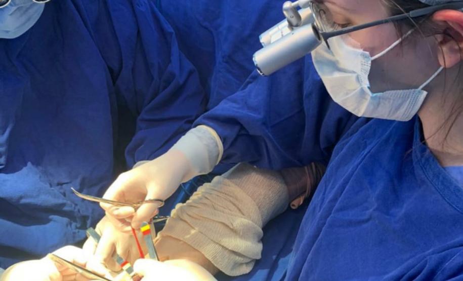 Foto: Aline Jasper/UEPG