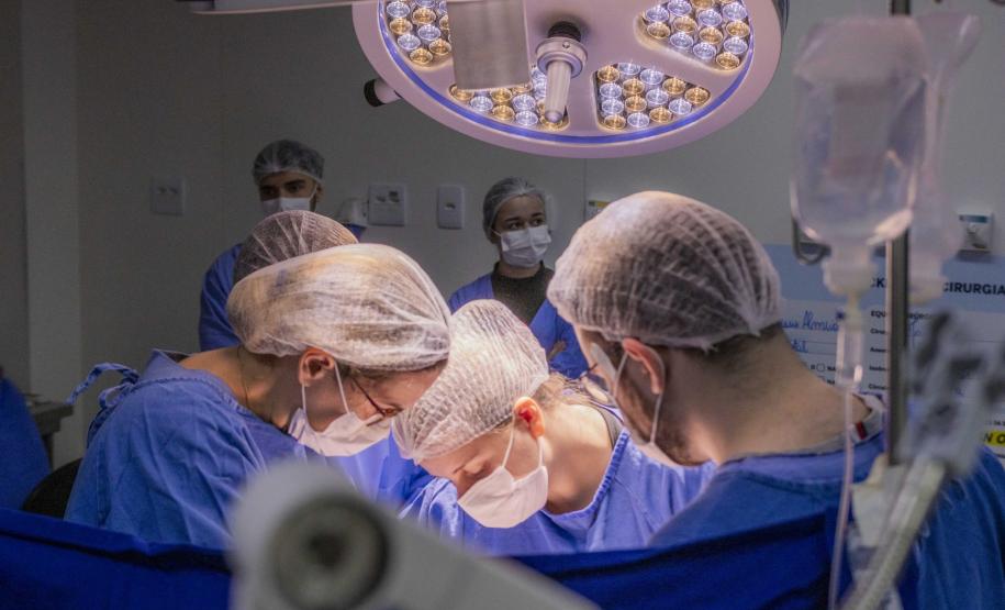 Foto: Aline Jasper/UEPG