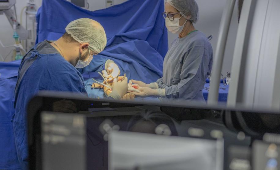 Foto: Aline Jasper/UEPG