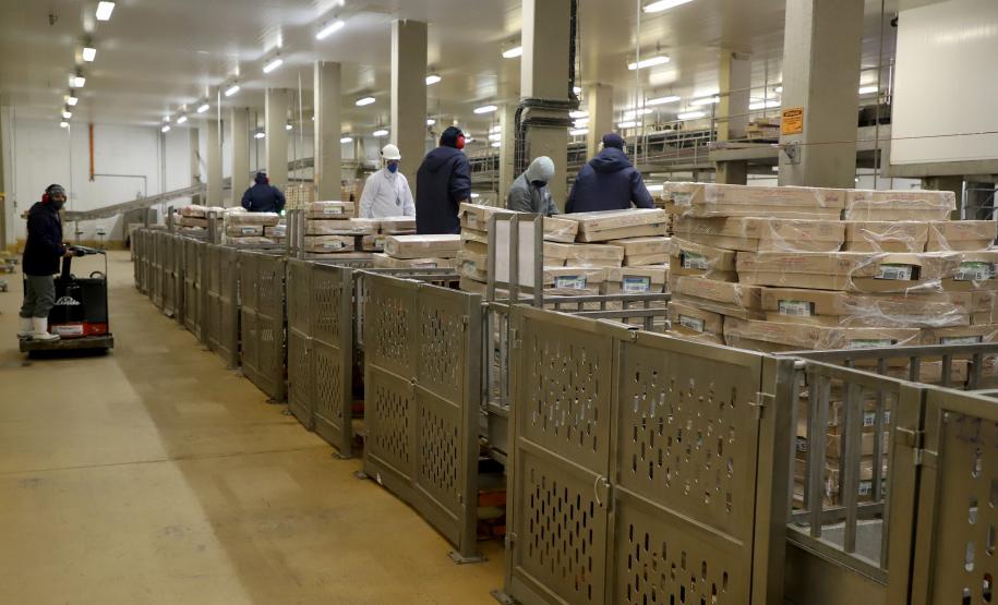 Paraná abre 15,9 mil vagas de emprego em janeiro e chega a 124 mil no último ano