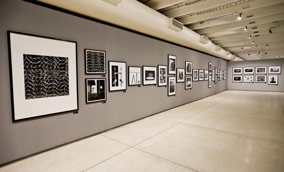 Museu de Arte Contemporânea do Paraná (MAC Paraná) - No MAC no MON, a artista Guita Soifer apresenta a exposição a Trama Intrincada do Tempo que traz pinturas, esculturas, fotografias, gravuras, vídeos e instalações explorando o tempo, a memória e as transformações da matéria