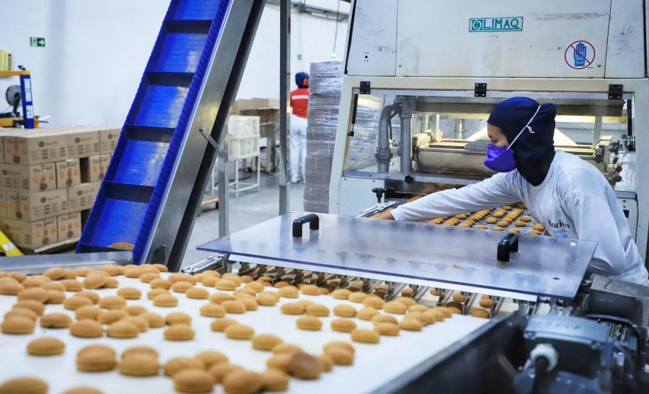 77% dos municípios paranaenses tiveram saldo positivo de empregos em 2024
