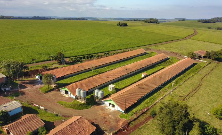 Estado disponibiliza R$ 1 bilhão do Siscred para impulsionar indústrias e agronegócio