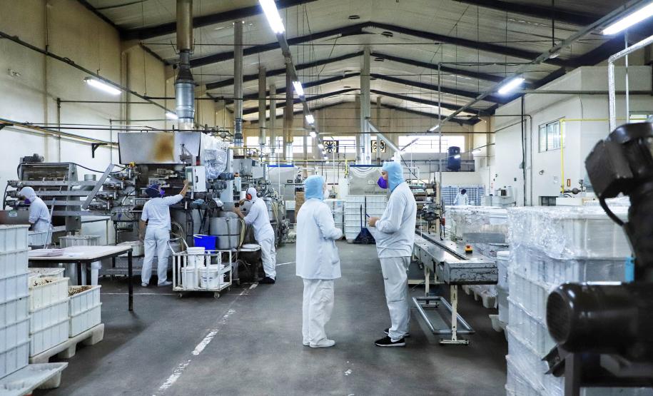 77% dos municípios paranaenses tiveram saldo positivo de empregos em 2024