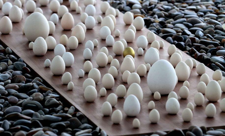 Museu de Arte Contemporânea do Paraná (MAC Paraná) - No MAC no MON, a artista Guita Soifer apresenta a exposição a Trama Intrincada do Tempo que traz pinturas, esculturas, fotografias, gravuras, vídeos e instalações explorando o tempo, a memória e as transformações da matéria