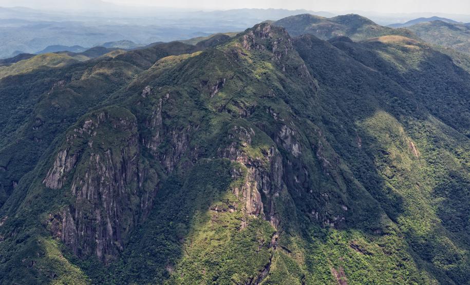 Levantamento do Instituto Água e Terra (IAT) revelou que o Paraná reduziu em 73% o desmatamento ilegal em 2024 Foto: Denis Ferreira Netto/SEDEST-PR