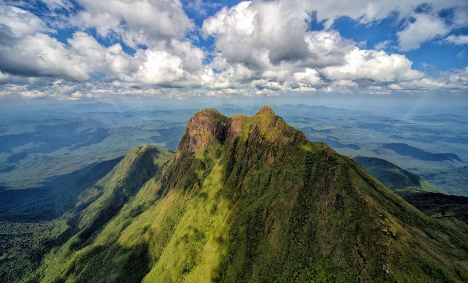 Levantamento do Instituto Água e Terra (IAT) revelou que o Paraná reduziu em 73% o desmatamento ilegal em 2024 Foto: Denis Ferreira Netto/SEDEST-PR