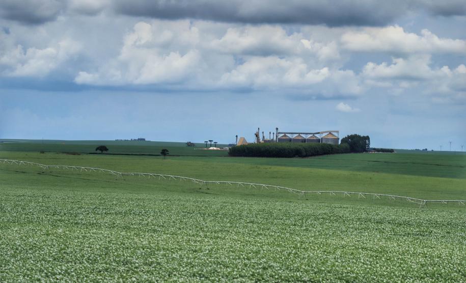 Estado disponibiliza R$ 1 bilhão do Siscred para impulsionar indústrias e agronegócio