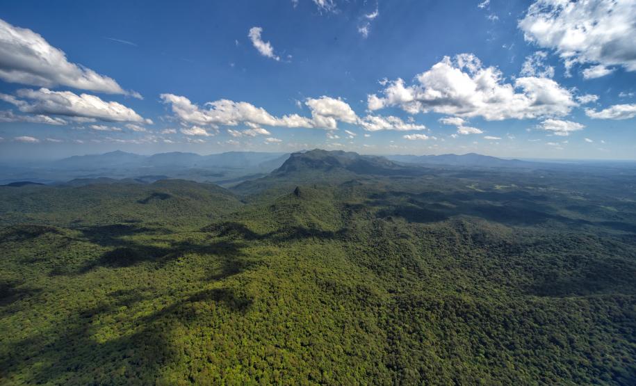 Levantamento do Instituto Água e Terra (IAT) revelou que o Paraná reduziu em 73% o desmatamento ilegal em 2024 Foto: Denis Ferreira Netto/SEDEST-PR