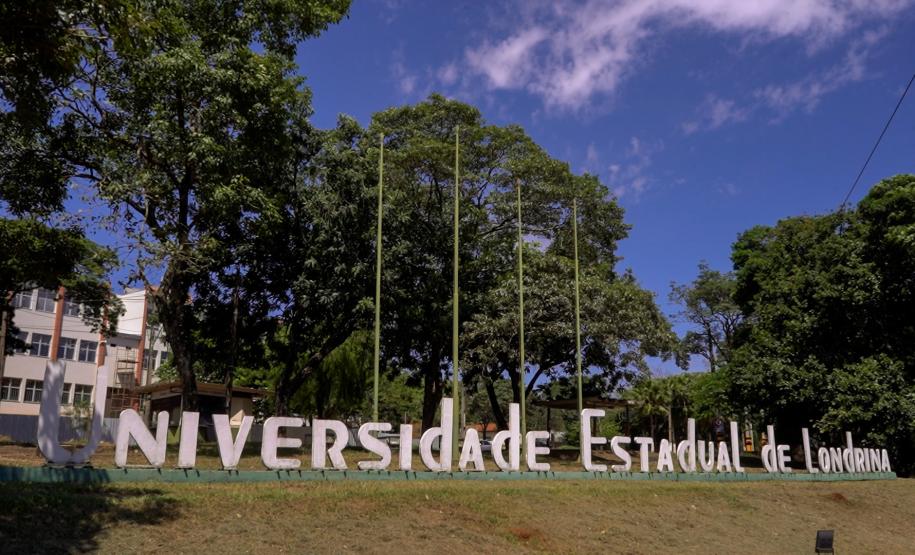 Mulheres são maioria com curso superior no Paraná e representam 58% dos graduados Foto: Arnaldo Neto/AEN