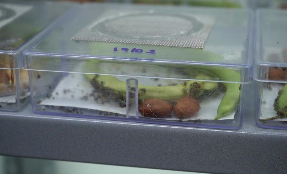 Mulheres são maioria com curso superior no Paraná e representam 58% dos graduados Foto: Arnaldo Neto/AEN