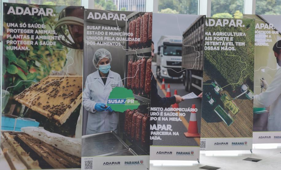 Foto: Geraldo Bubniak/AEN