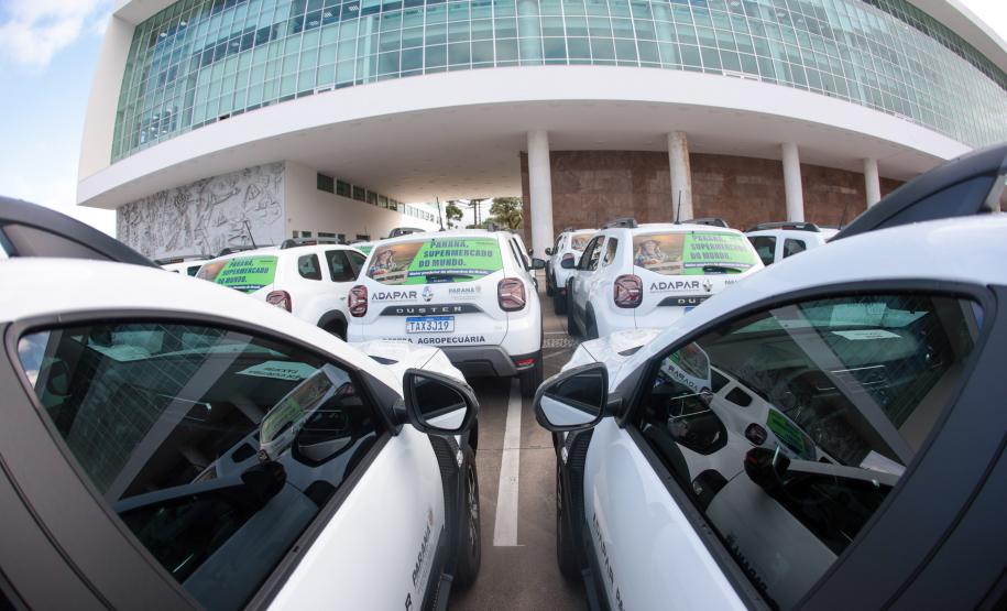 Foto: Geraldo Bubniak/AEN