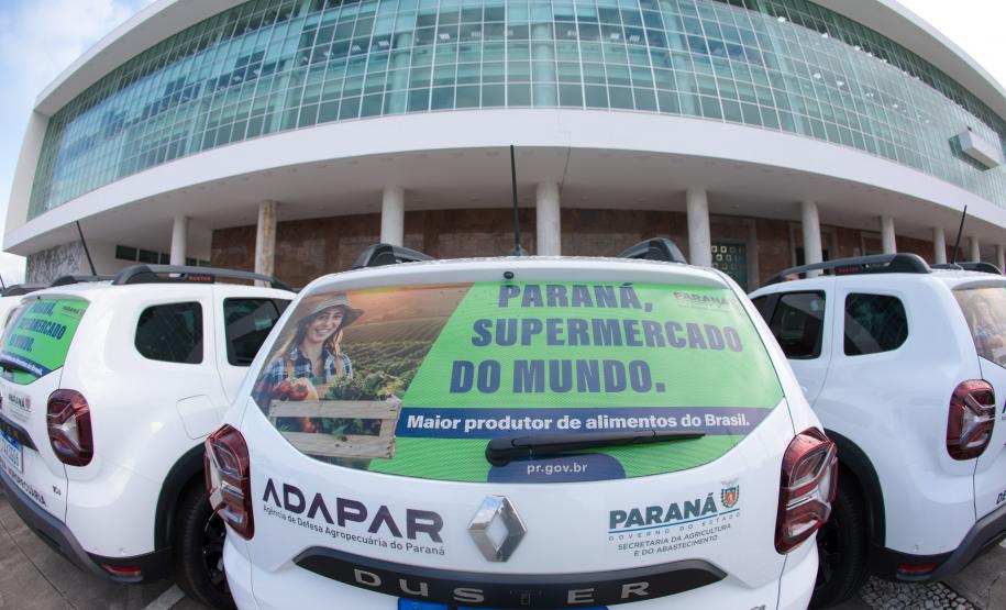 Foto: Geraldo Bubniak/AEN