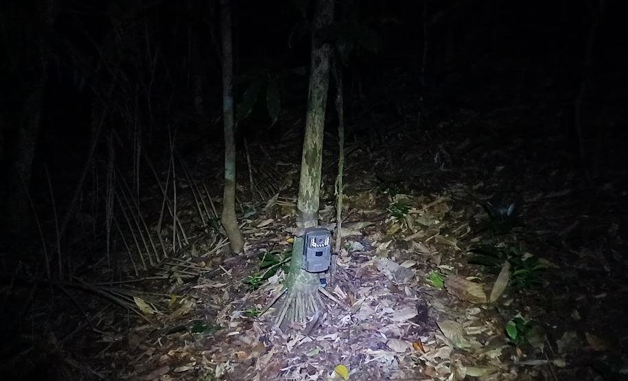 2 mil toneladas de aço, sapo raro e muito gelo na obra: as curiosidades da Ponte de Guaratuba