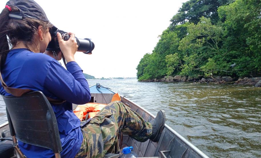 2 mil toneladas de aço, sapo raro e muito gelo na obra: as curiosidades da Ponte de Guaratuba
