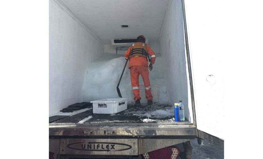 2 mil toneladas de aço, sapo raro e muito gelo na obra: as curiosidades da Ponte de Guaratuba