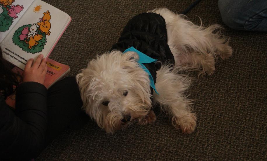 Festival de Curitiba, novas oficinas em museus e literatura movimentam a agenda cultural